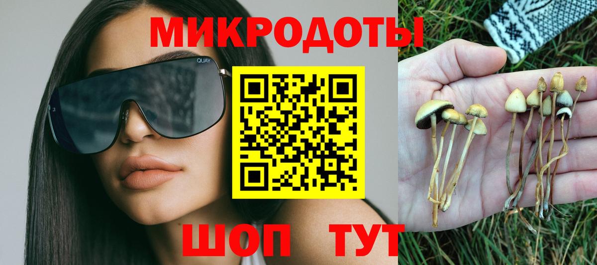 Галлюциногенные грибы GOLDEN TEACHER Жуковский
