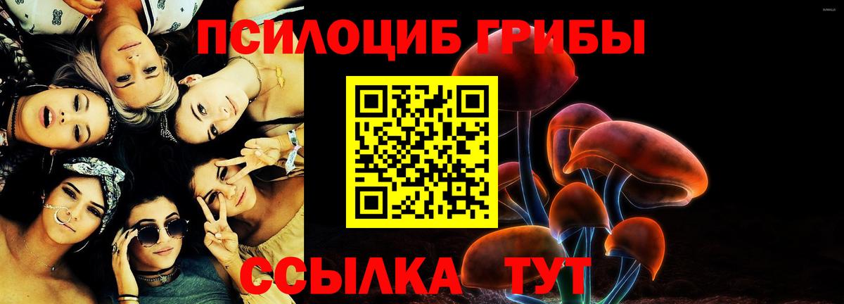 Галлюциногенные грибы прущие грибы  Вход с VPN  Жуковский 
